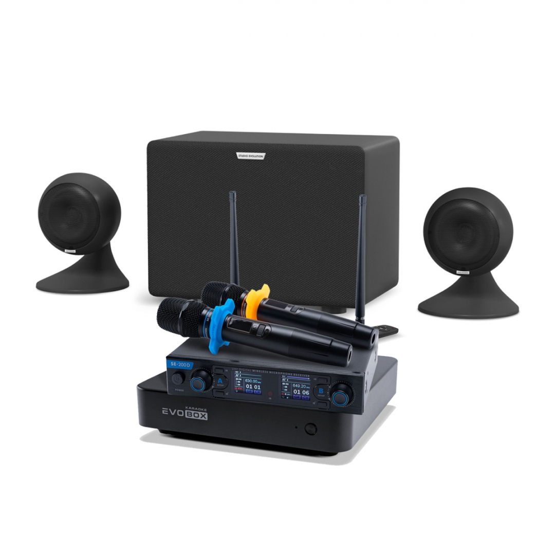 караоке-комплект EVOBOX + EvoSound Sphere 2.1 в Таштаголе