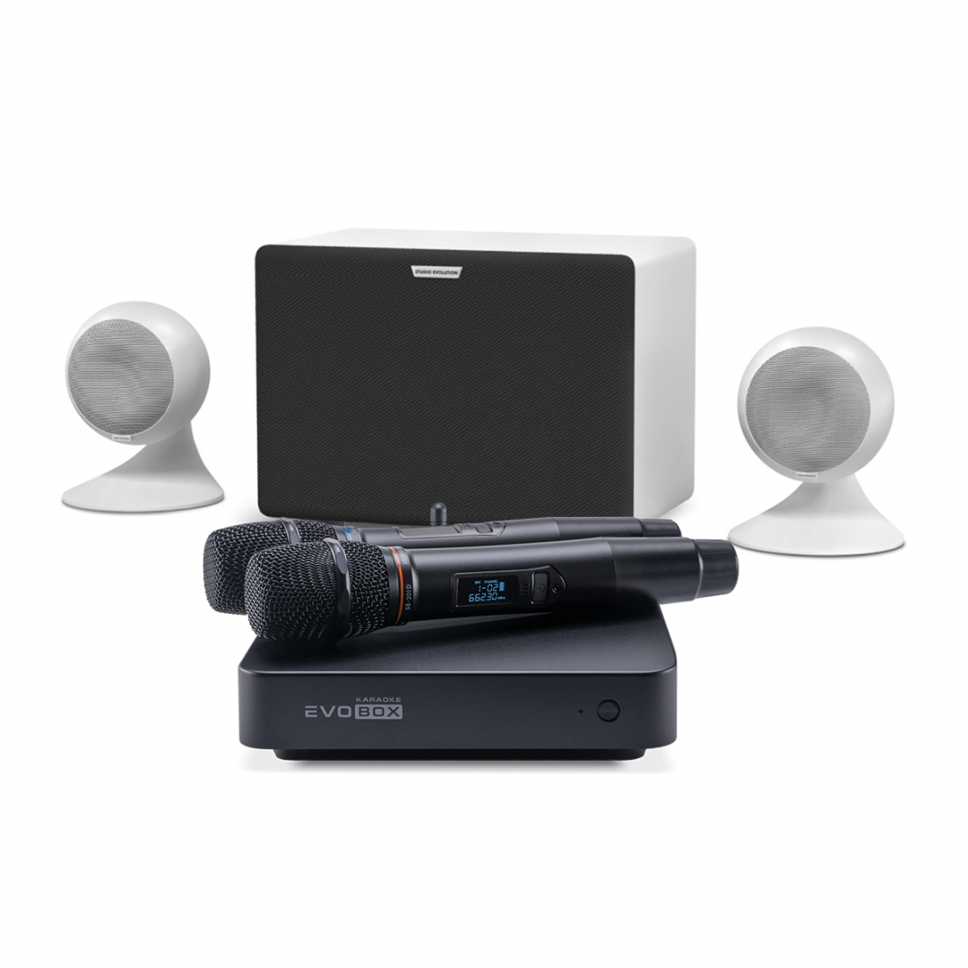 караоке-комплект EVOBOX Classic + EvoSound Sphere 2.1 в Таштаголе