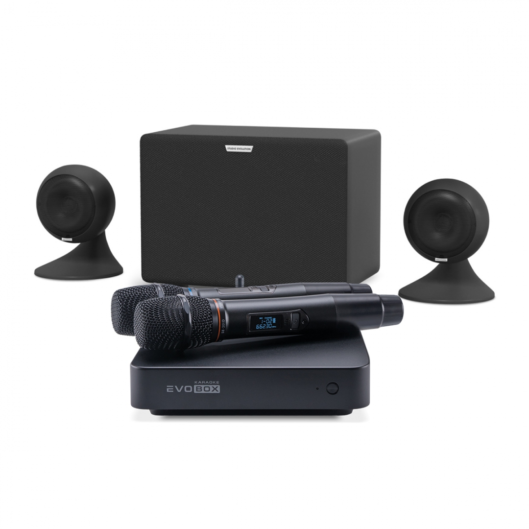 караоке-комплект EVOBOX Plus + EvoSound Sphere 2.1 в Таштаголе