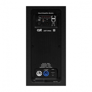 Активная акустическая система AST-310A в Таштаголе