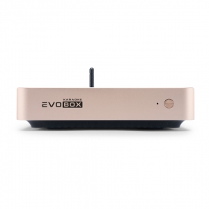 EVOBOX Plus караоке-система для дома в Таштаголе