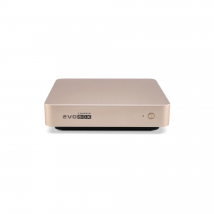 EVOBOX с микрофонами в Таштаголе