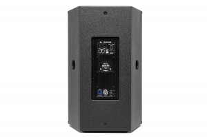 MX LAB DANA 15P активная акустическая система в Таштаголе